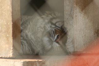 IMG_3587.jpg