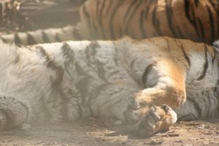 IMG_3613.jpg