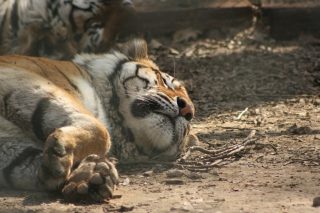 IMG_3618.jpg