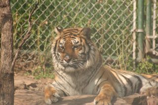 IMG_3690.jpg