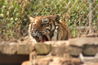 IMG_3731.jpg