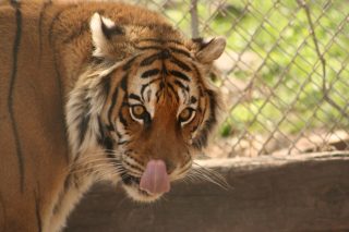 IMG_3778.jpg
