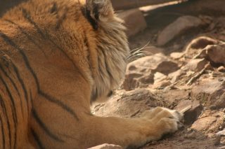 IMG_3830.jpg
