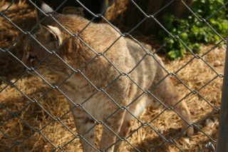 IMG_3925.jpg