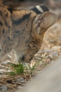 IMG_3990.jpg