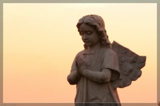 IMG_4352.jpg