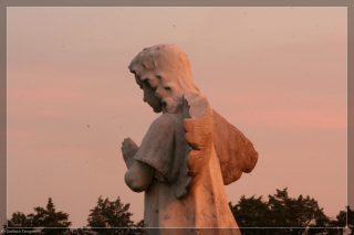 IMG_4353.jpg