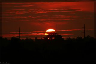 IMG_4367.jpg