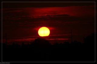 IMG_4372.jpg
