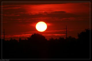 IMG_4373.jpg