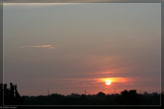 IMG_4381.jpg