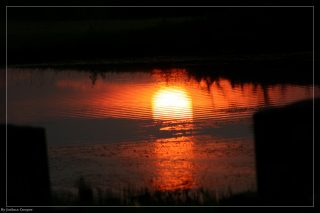 IMG_4383.jpg