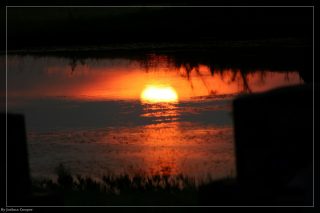 IMG_4384.jpg