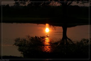 IMG_4386.jpg