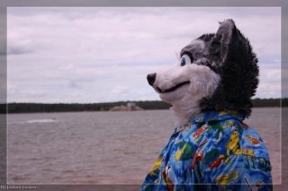 IMG_6385.jpg