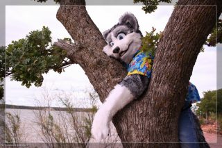 IMG_6558.jpg