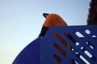 IMG_2399.png
