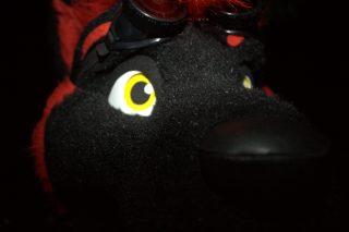 IMG_3805.png