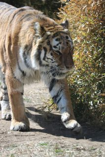 IMG_0327.png