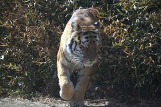 IMG_0329.png