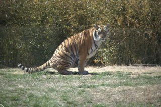 IMG_0336.png