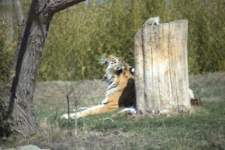 IMG_0338.png