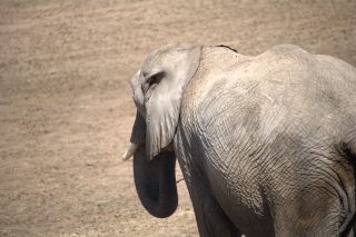 IMG_0366.png