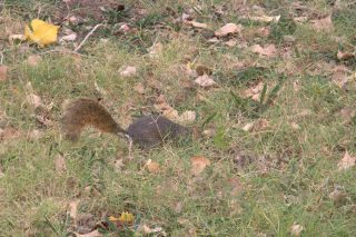 IMG_1028.png