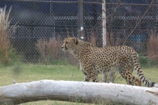 IMG_1039.png