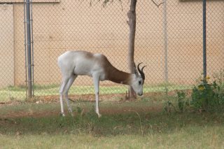 IMG_1060.png