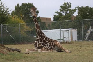 IMG_1082.png