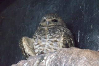 IMG_1194.png
