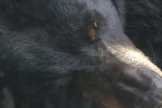 IMG_1198.png