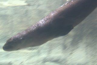 IMG_1205.png