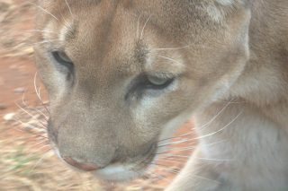 IMG_1258.png