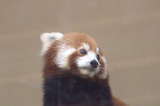 IMG_1349.png