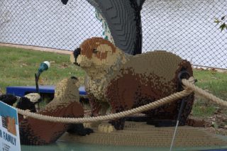 IMG_1368.png